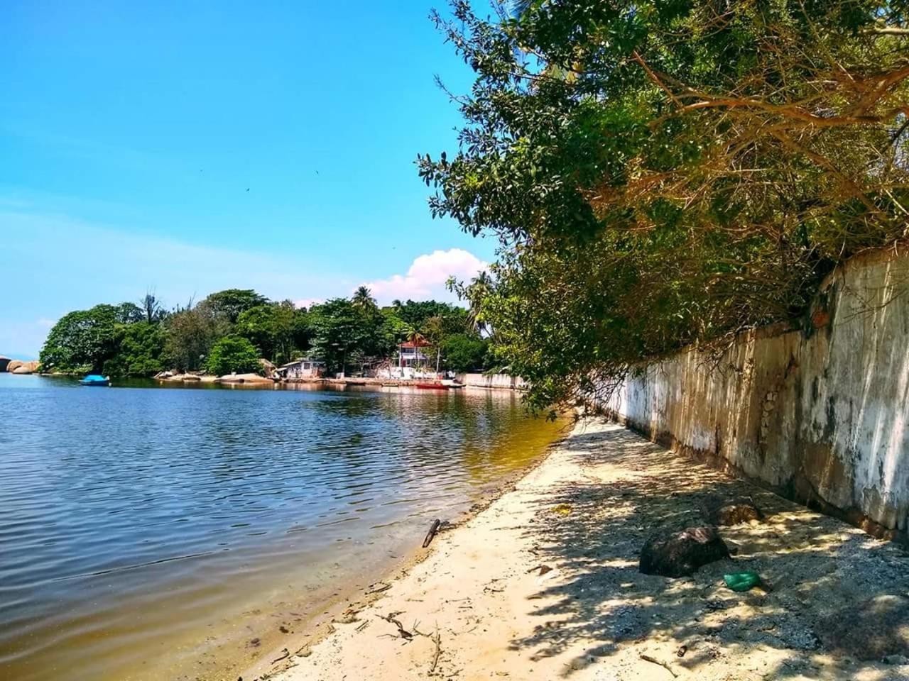 Casa Da Coruja *