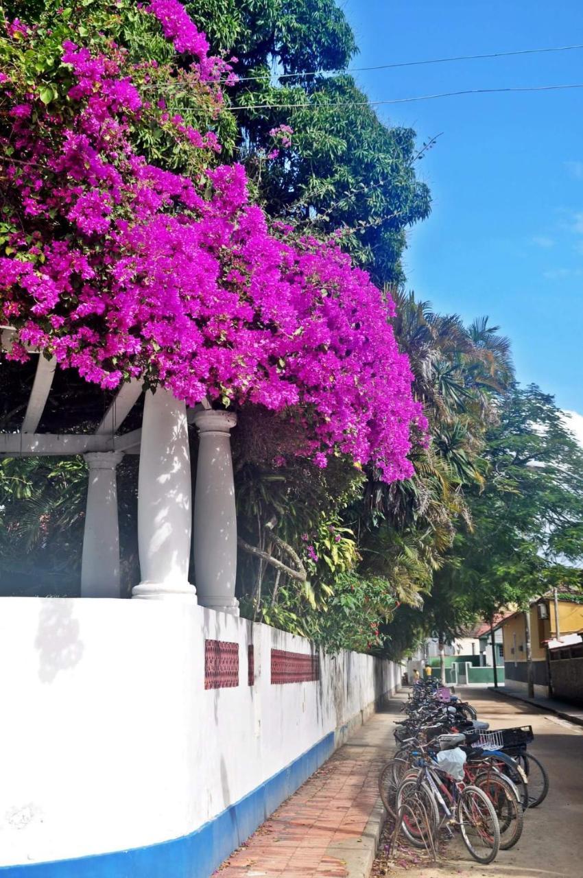 Casa Da Coruja Alojamento de Acomodação e Pequeno-almoço *
