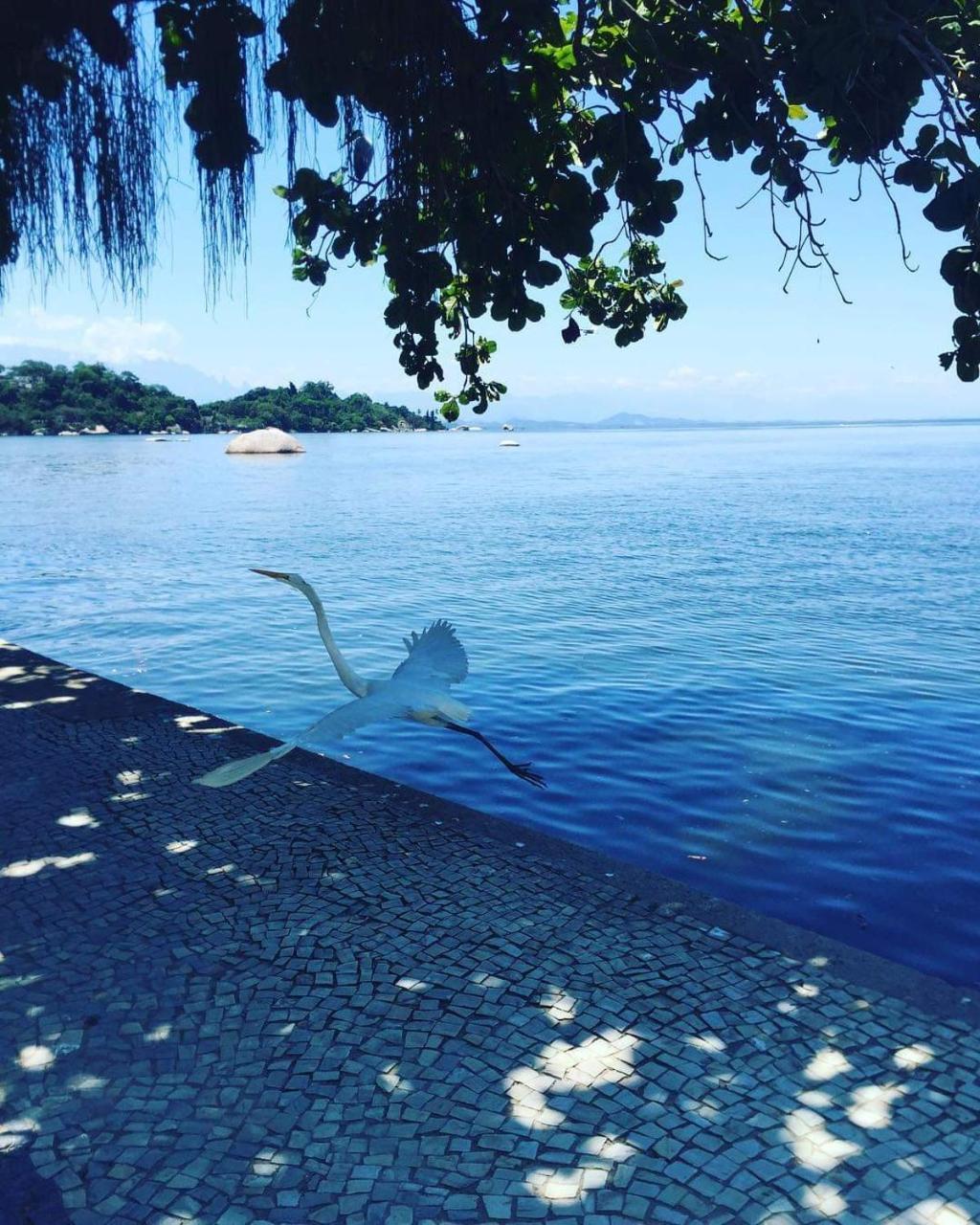 Casa Da Coruja Río de Janeiro